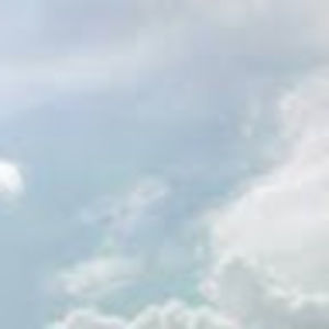 Meet your Posher, Helen